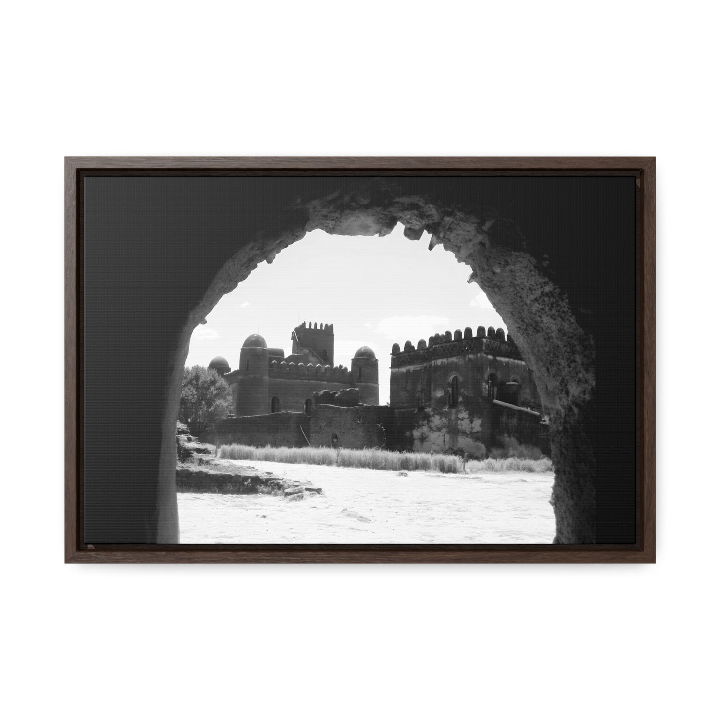 Through the Lion's Jaws - Framed Canvas Photography b&w