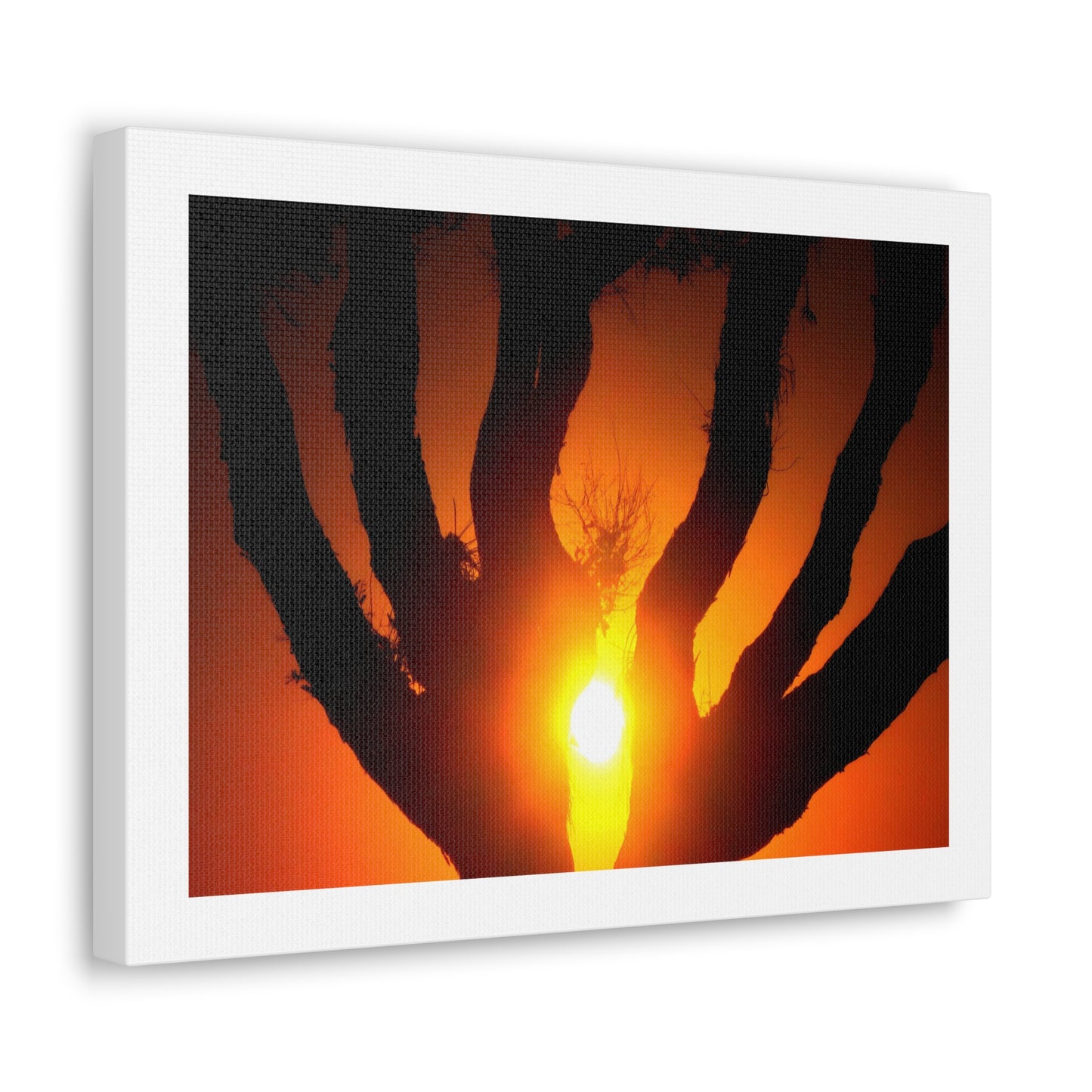 De-Light in the Heart of the Soul - Canvas Photography