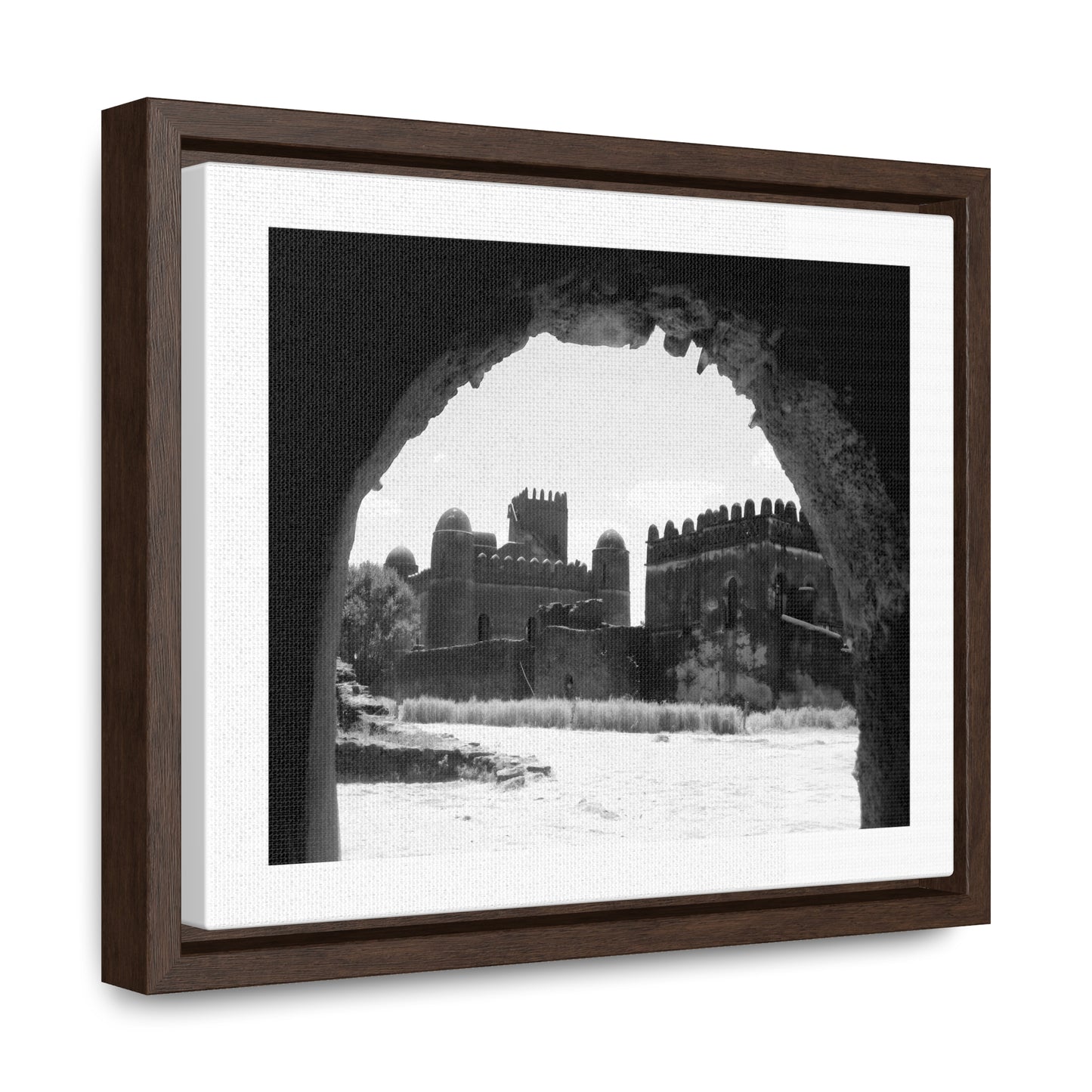 Through the Lion's Jaws - Framed Canvas Photography b&w