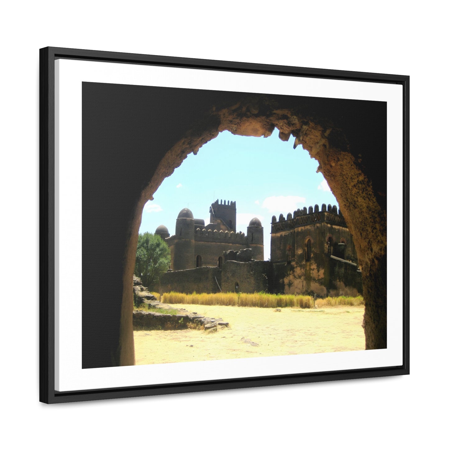 Through the Lion's Jaws - Framed Canvas Photography