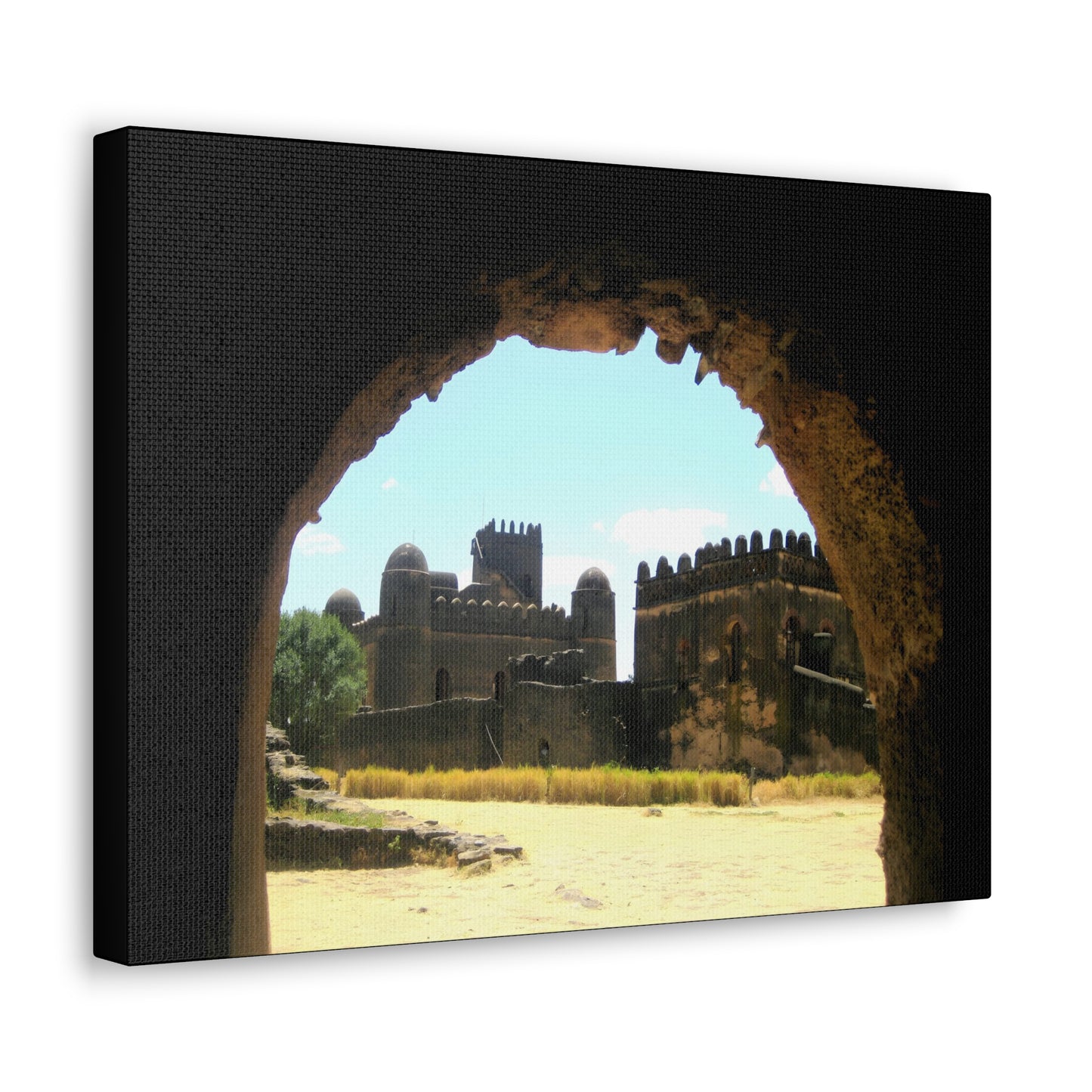 Through the Lion's Jaws - Canvas Photography