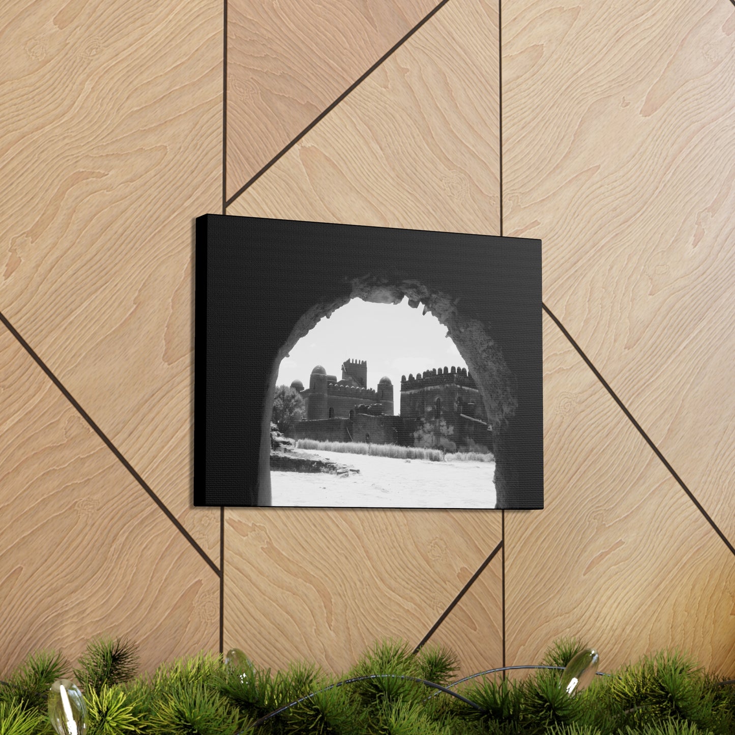Through the Lion's Jaws - Canvas Photography b&w