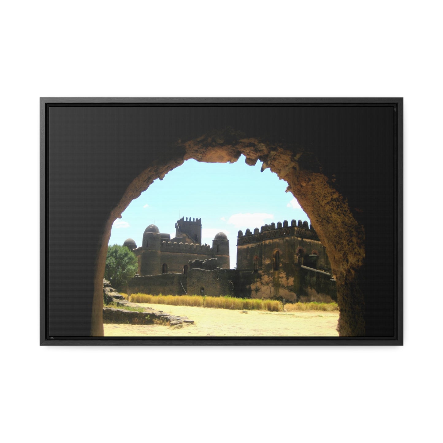 Through the Lion's Jaws - Framed Canvas Photography