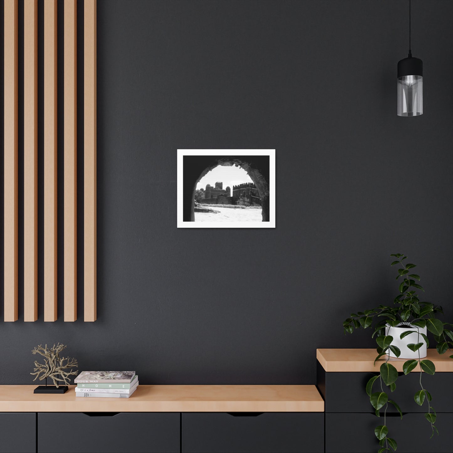 Through the Lion's Jaws - Canvas Photography b&w