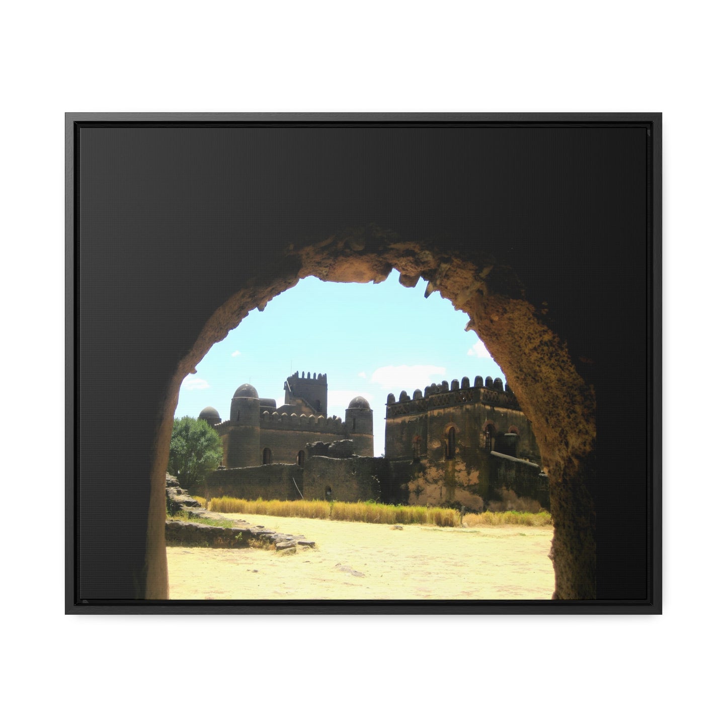 Through the Lion's Jaws - Framed Canvas Photography