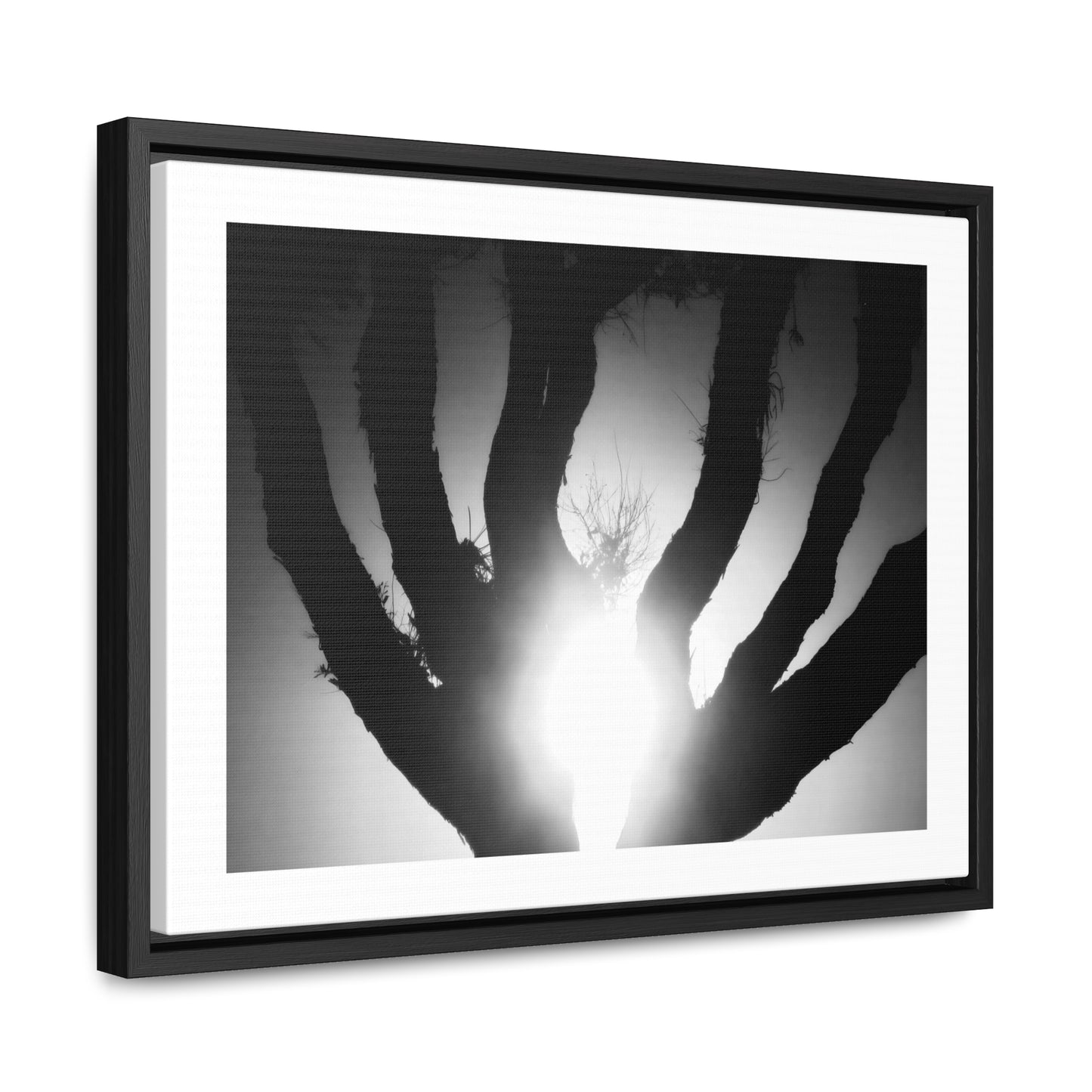 De-Light in the Heart of the Soul - Framed Canvas b&w Photography