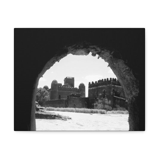 Through the Lion's Jaws - Canvas Photography b&w