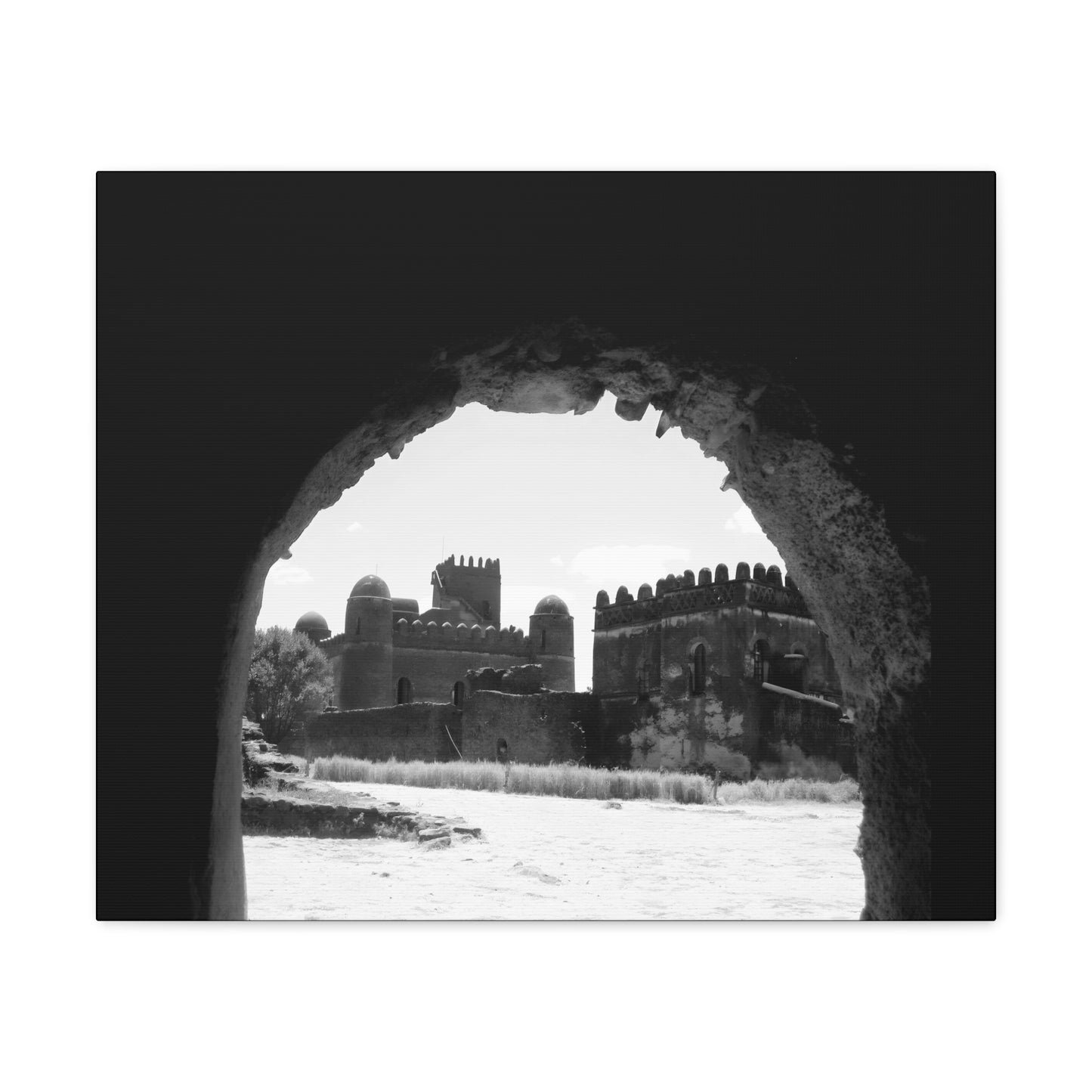 Through the Lion's Jaws - Canvas Photography b&w