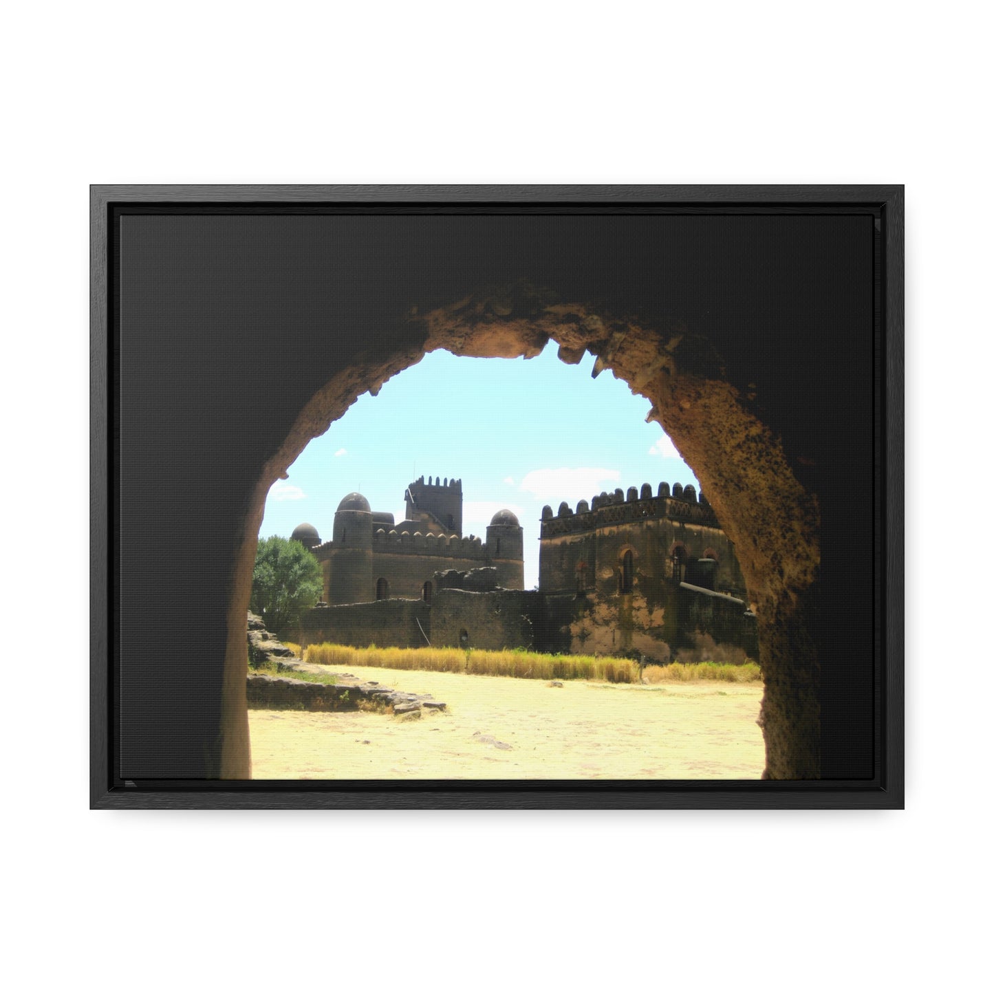 Through the Lion's Jaws - Framed Canvas Photography