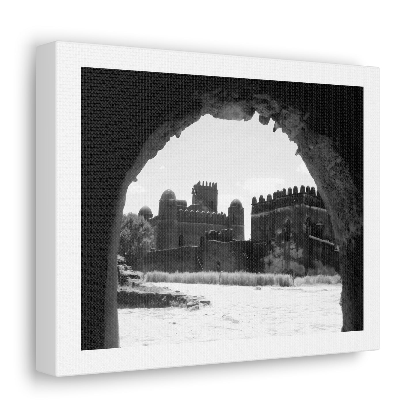 Through the Lion's Jaws - Canvas Photography b&w