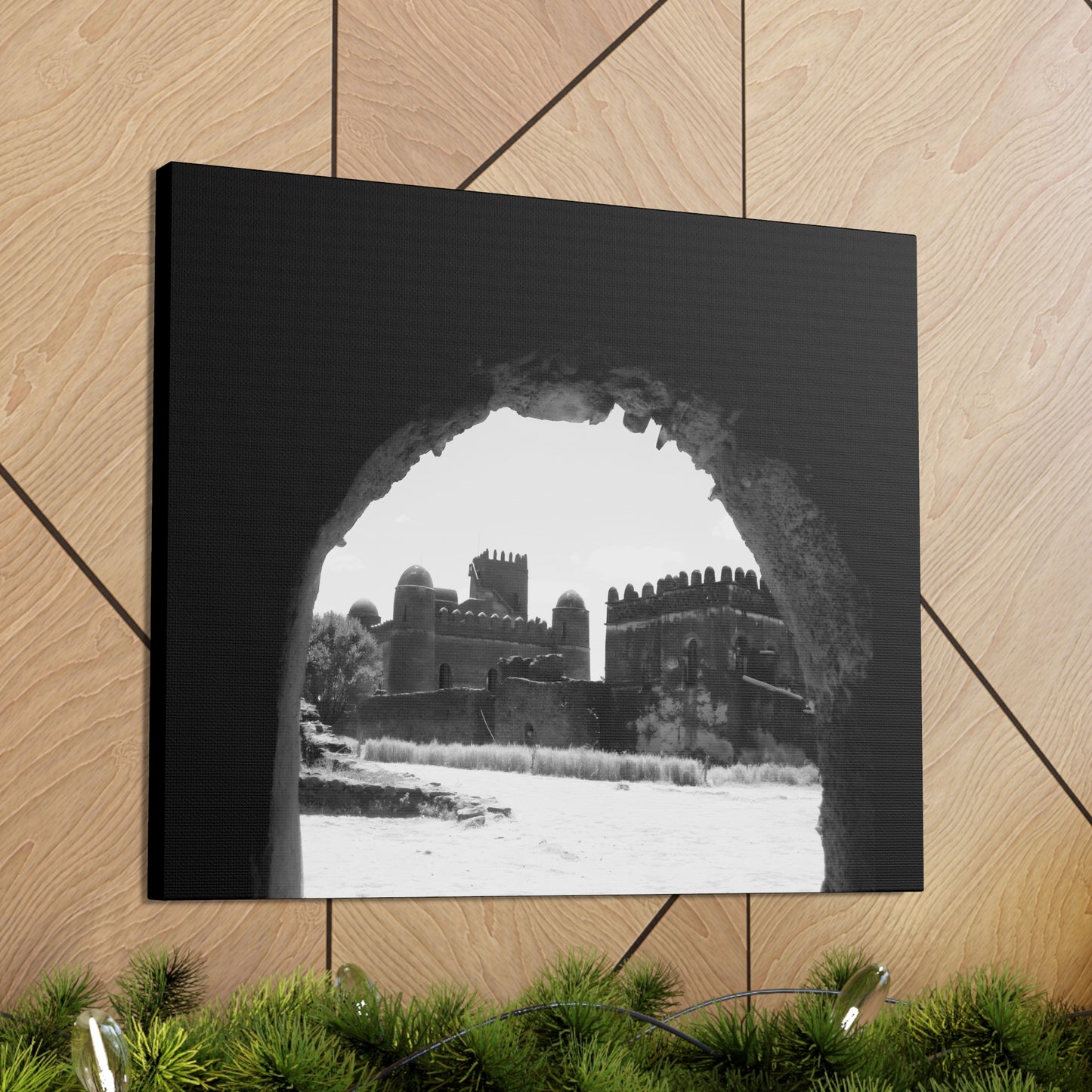 Through the Lion's Jaws - Canvas Photography b&w