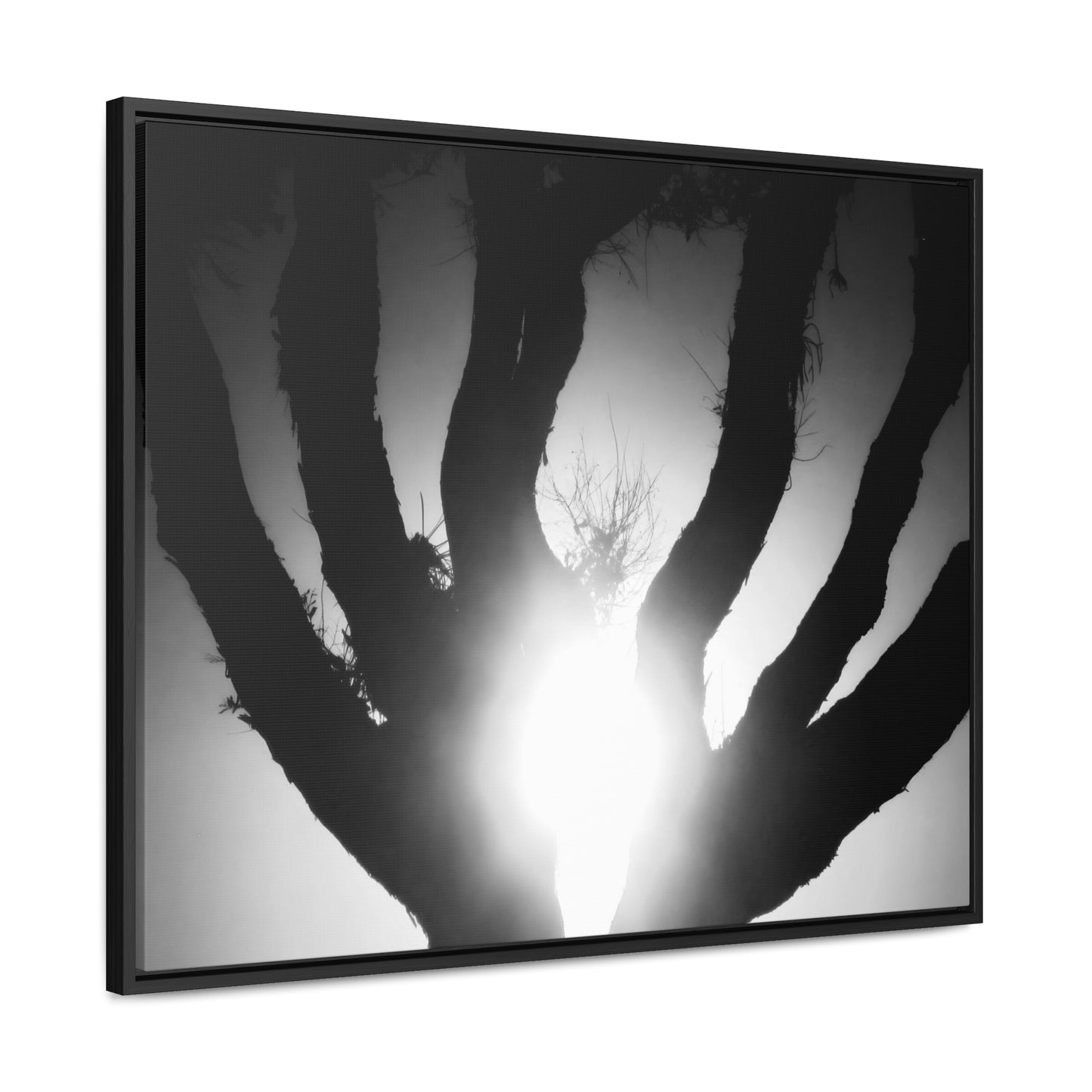 De-Light in the Heart of the Soul - Framed Canvas b&w Photography