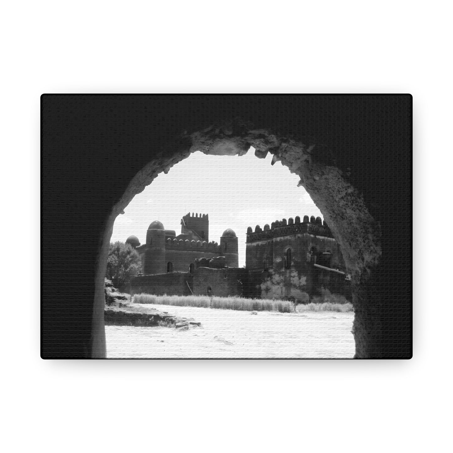 Through the Lion's Jaws - Canvas Photography b&w