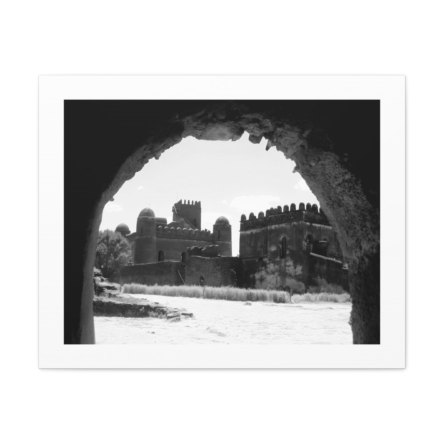 Through the Lion's Jaws - Canvas Photography b&w