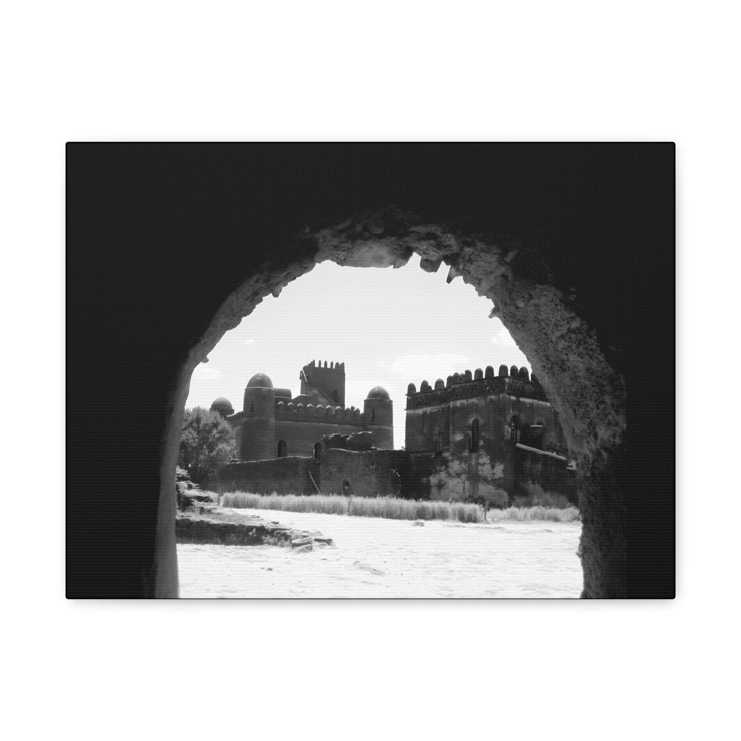Through the Lion's Jaws - Canvas Photography b&w
