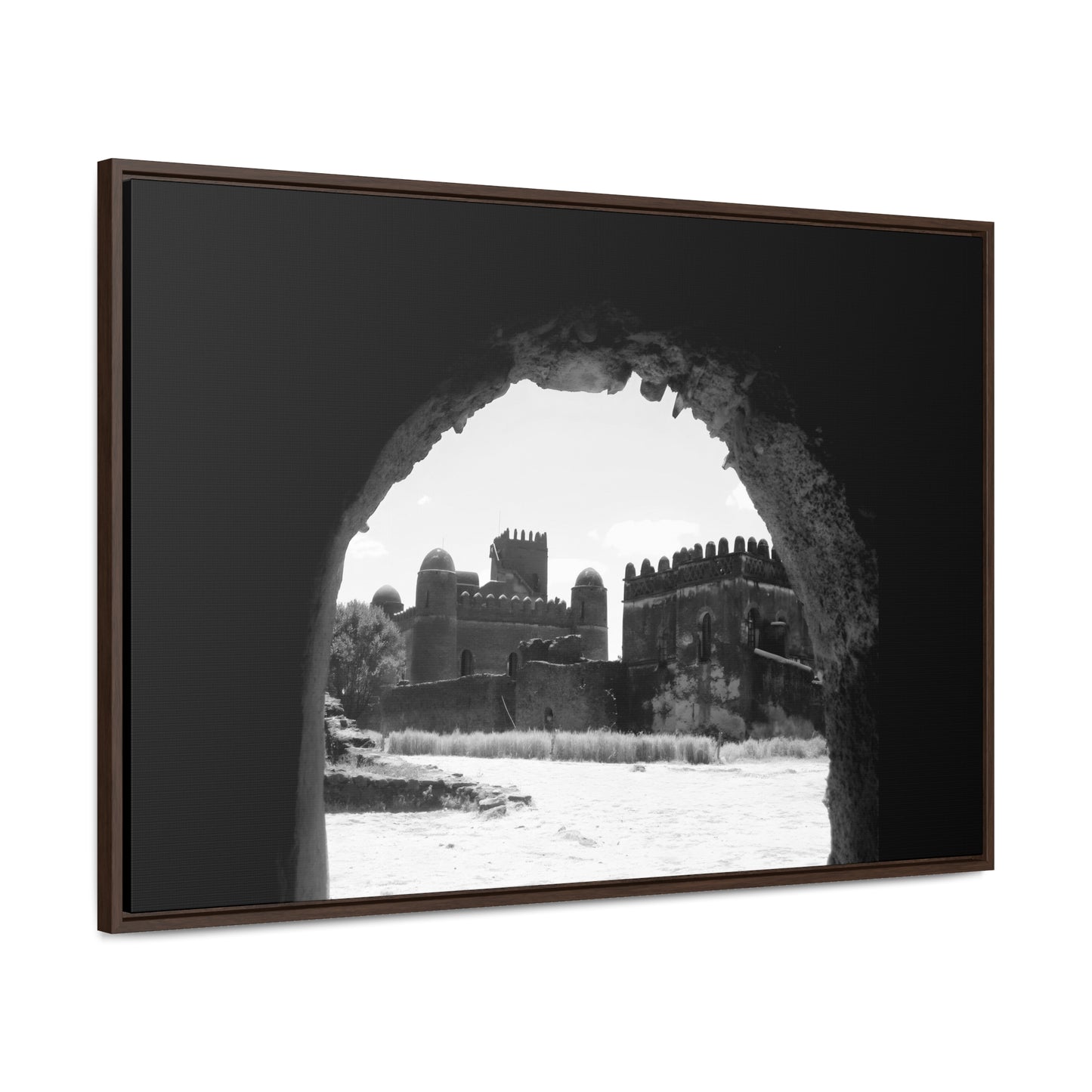 Through the Lion's Jaws - Framed Canvas Photography b&w