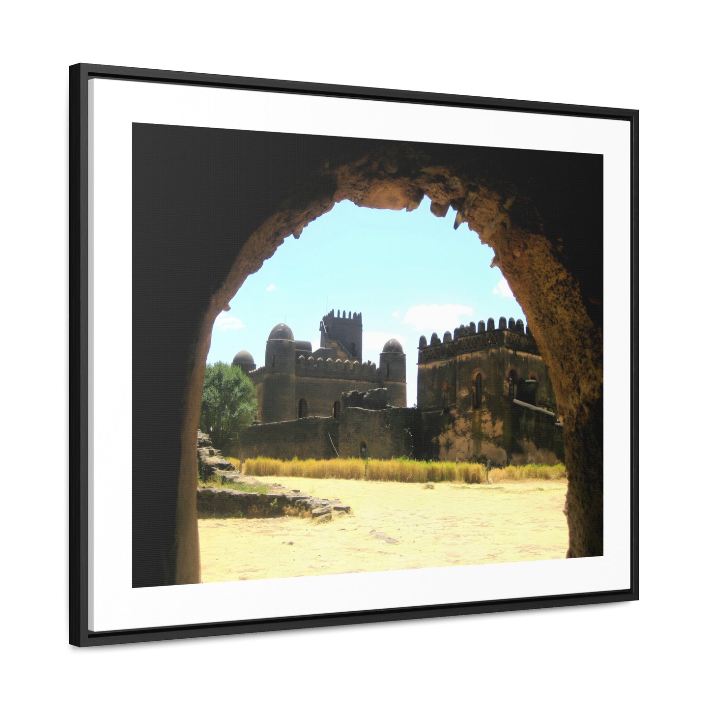 Through the Lion's Jaws - Framed Canvas Photography