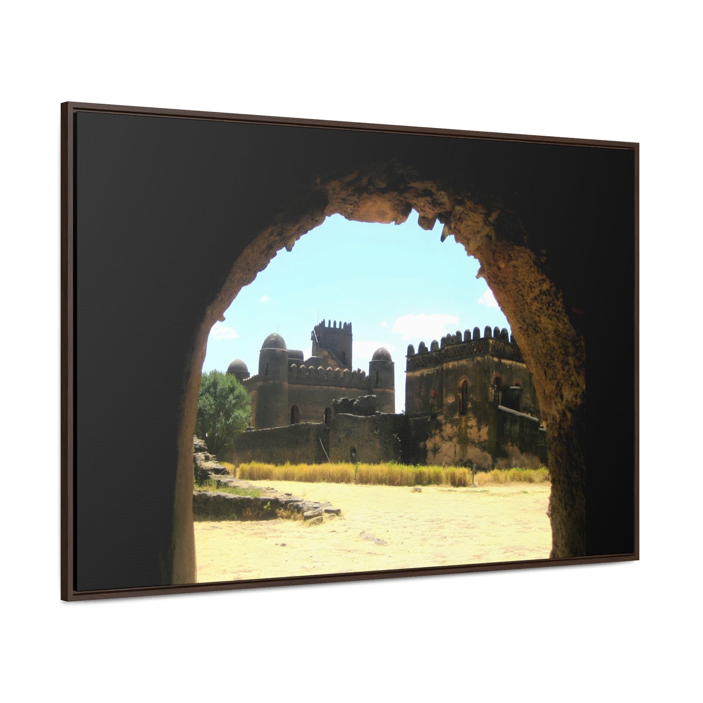 Through the Lion's Jaws - Framed Canvas Photography