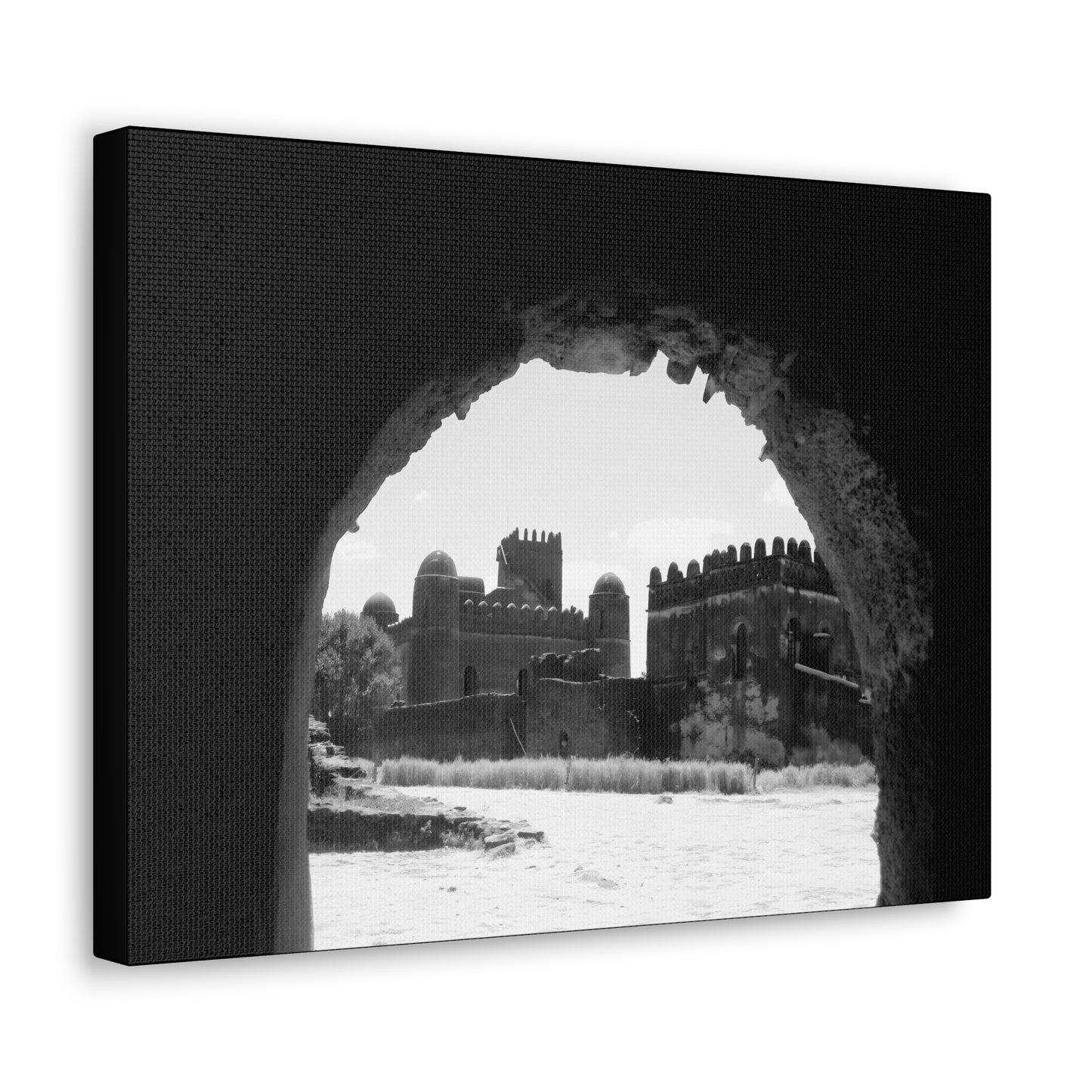 Through the Lion's Jaws - Canvas Photography b&w
