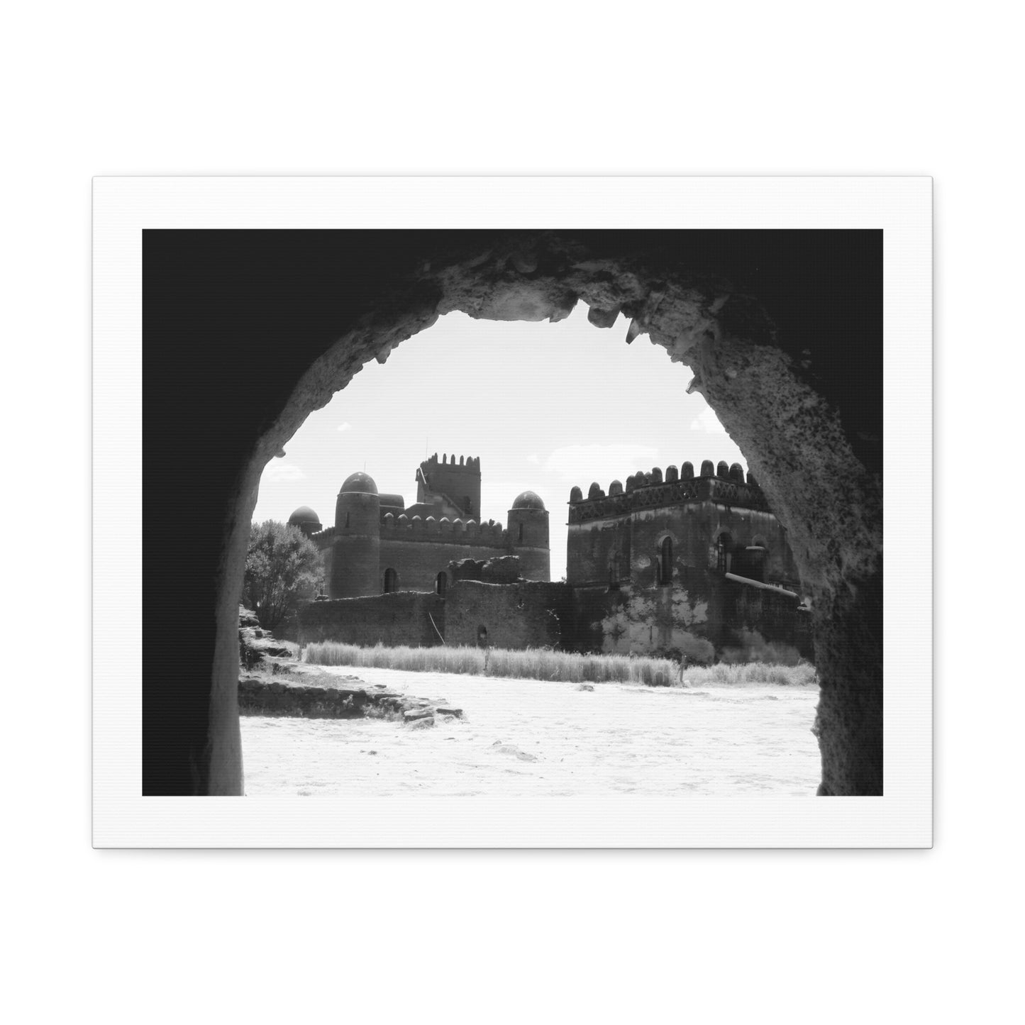 Through the Lion's Jaws - Canvas Photography b&w