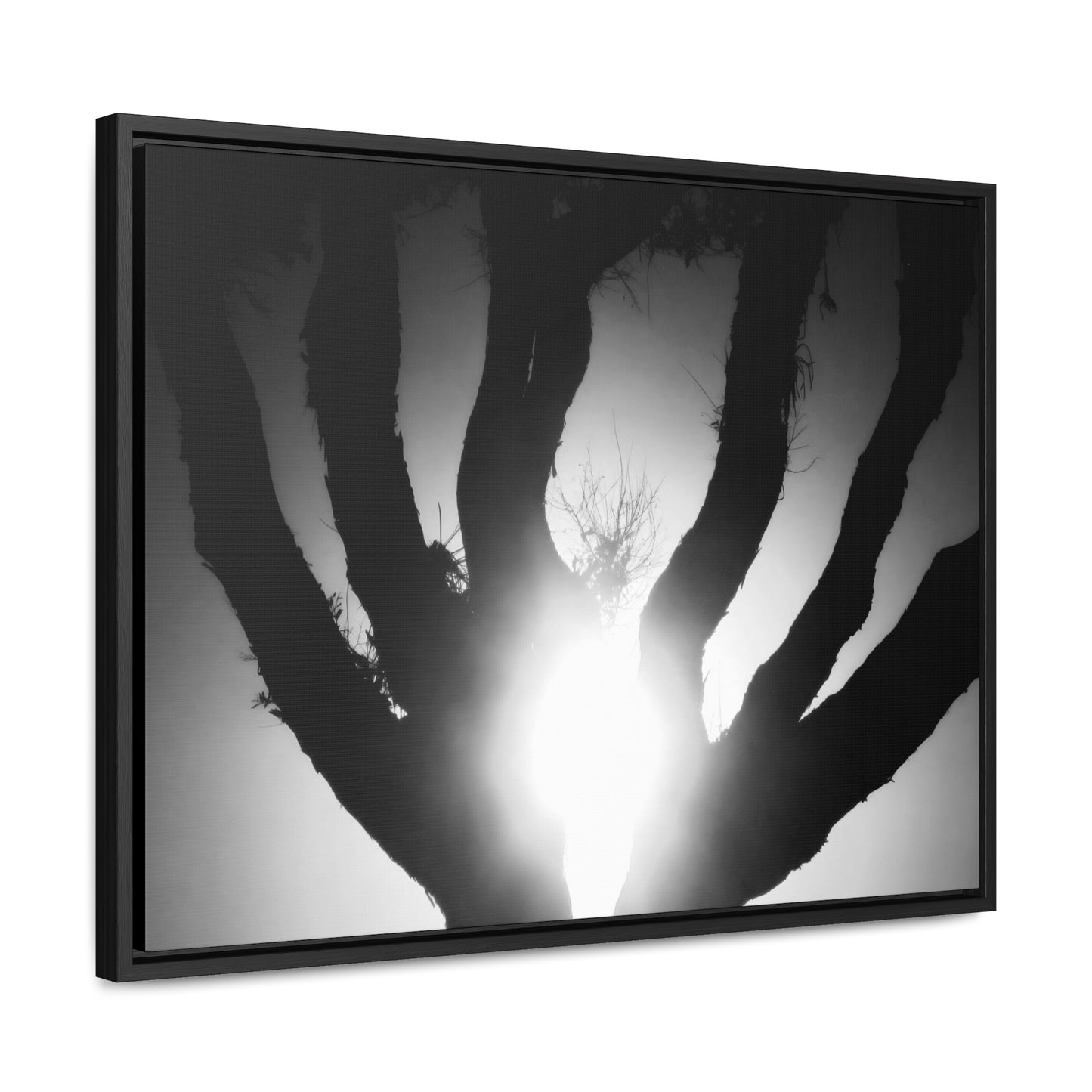 De-Light in the Heart of the Soul - Framed Canvas b&w Photography