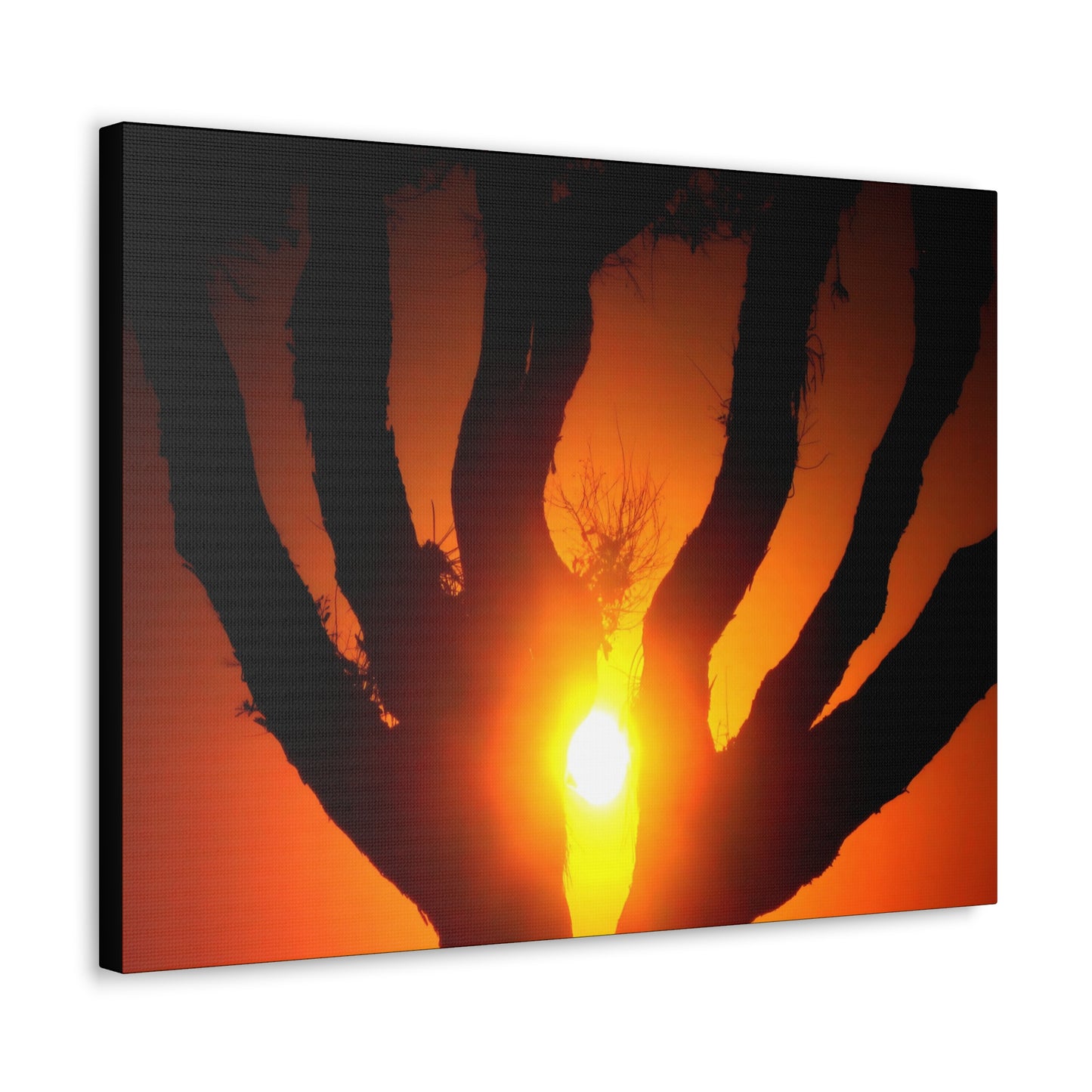 De-Light in the Heart of the Soul - Canvas Photography