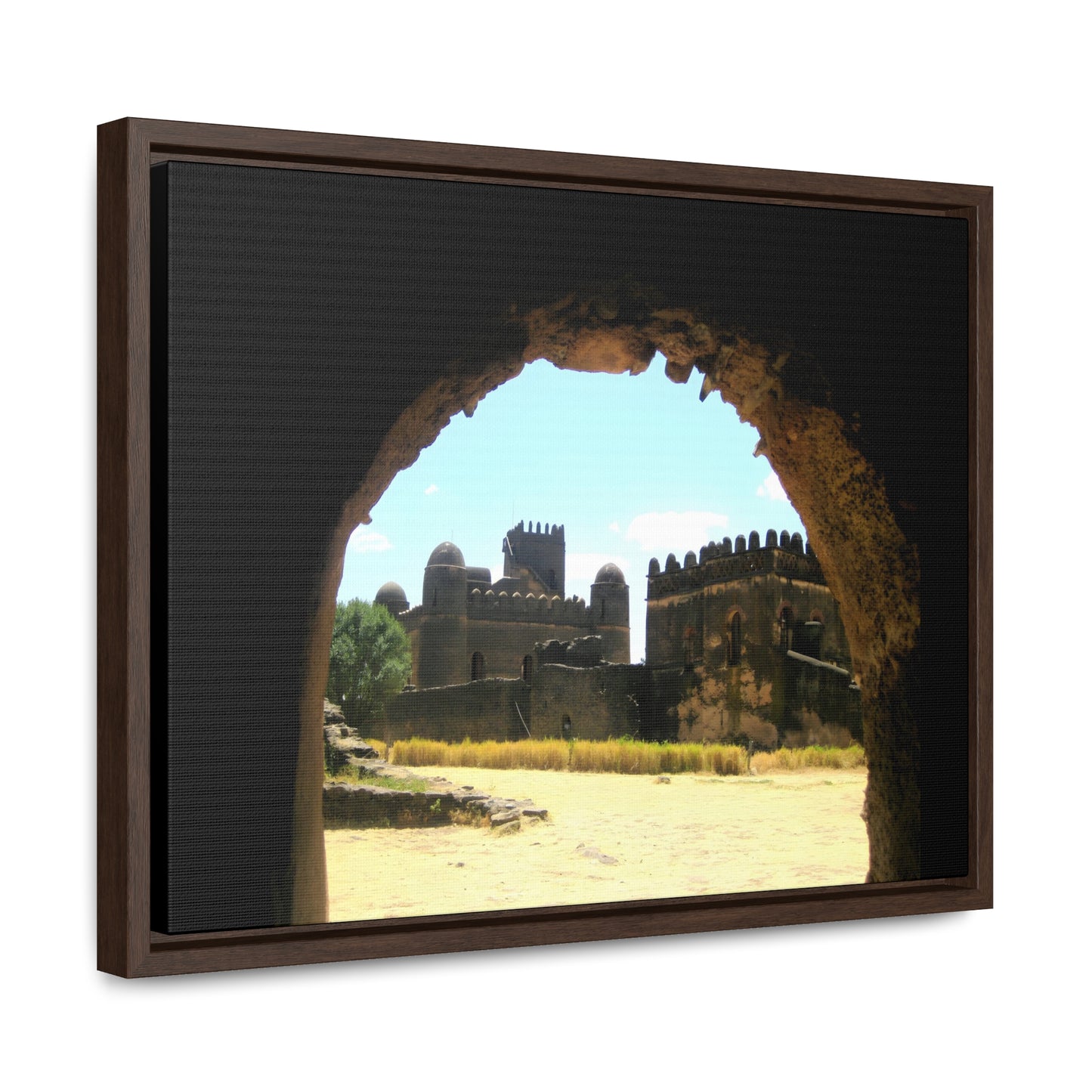 Through the Lion's Jaws - Framed Canvas Photography