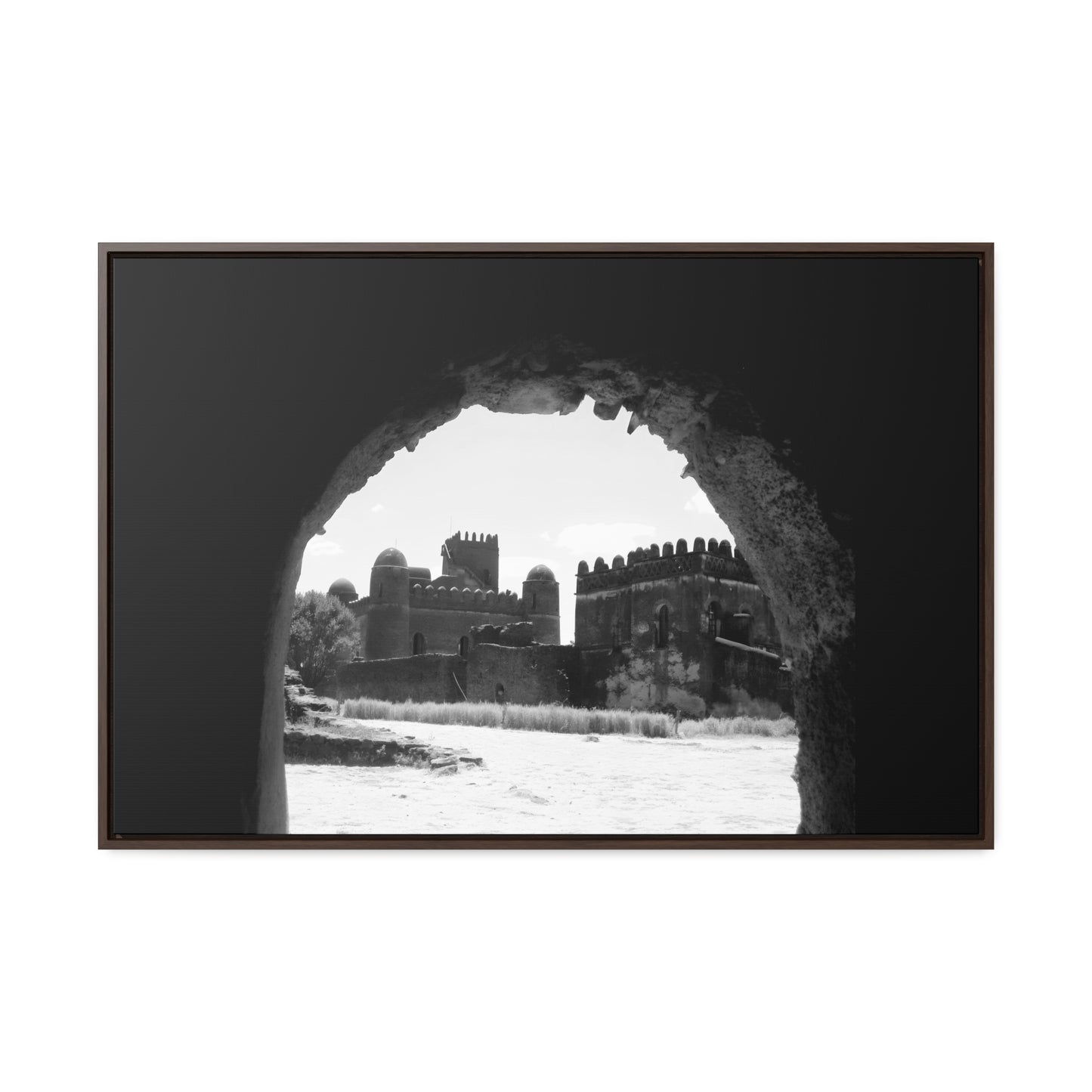 Through the Lion's Jaws - Framed Canvas Photography b&w