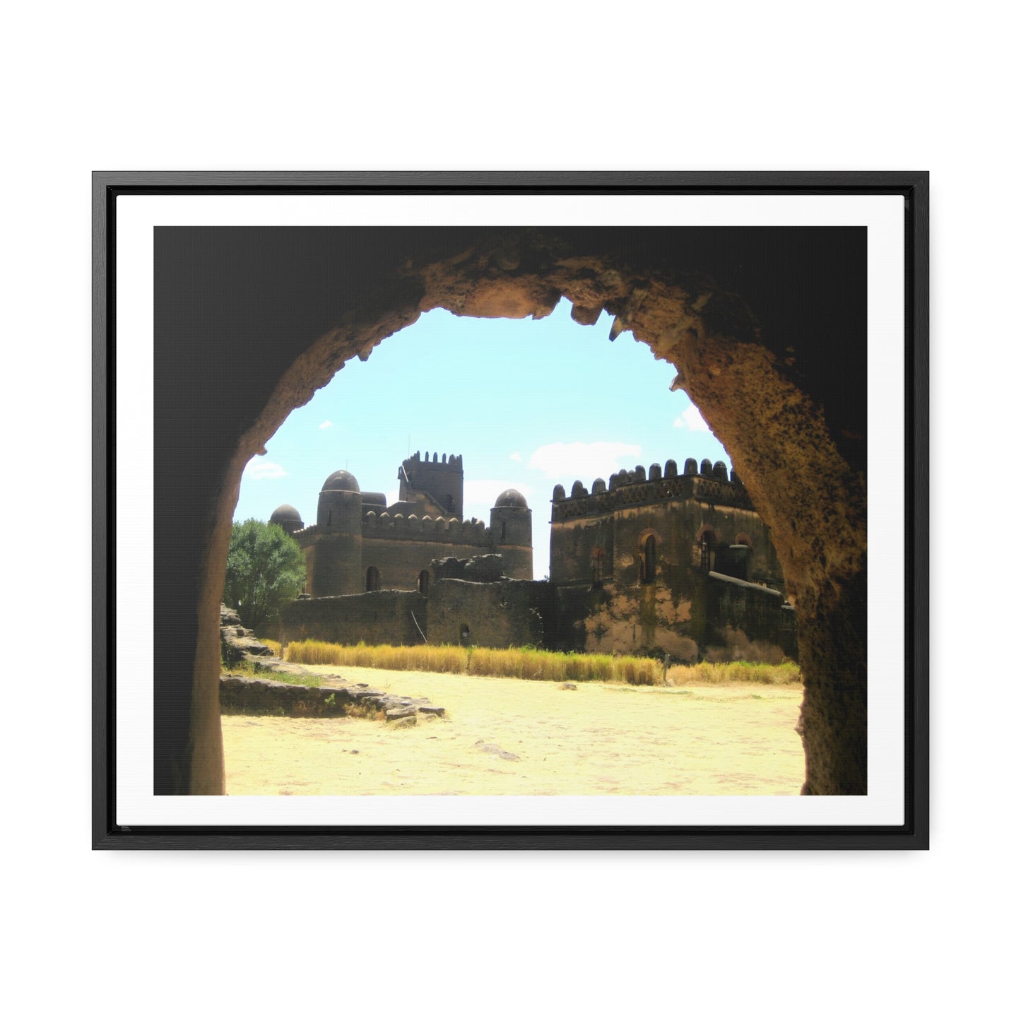 Through the Lion's Jaws - Framed Canvas Photography