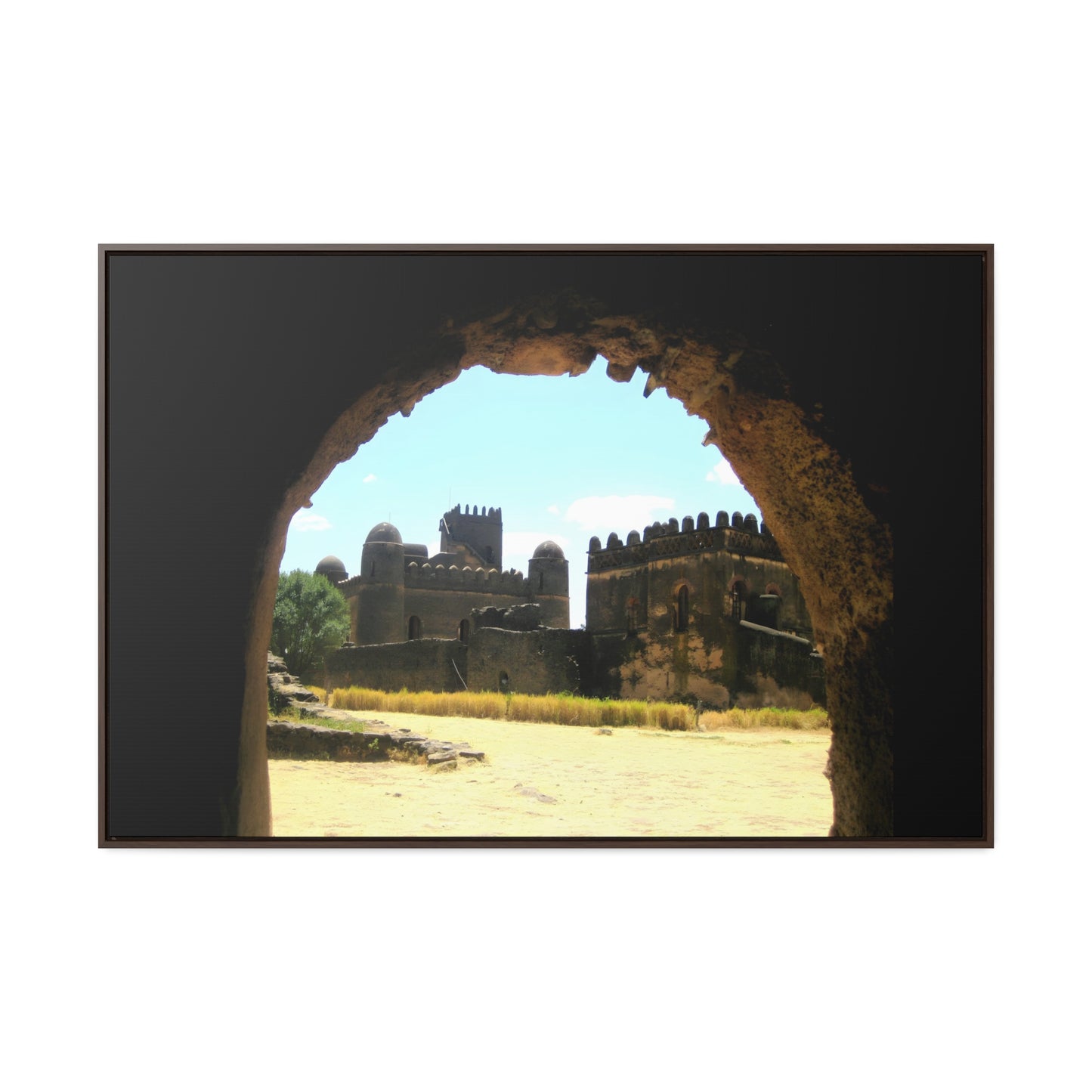Through the Lion's Jaws - Framed Canvas Photography