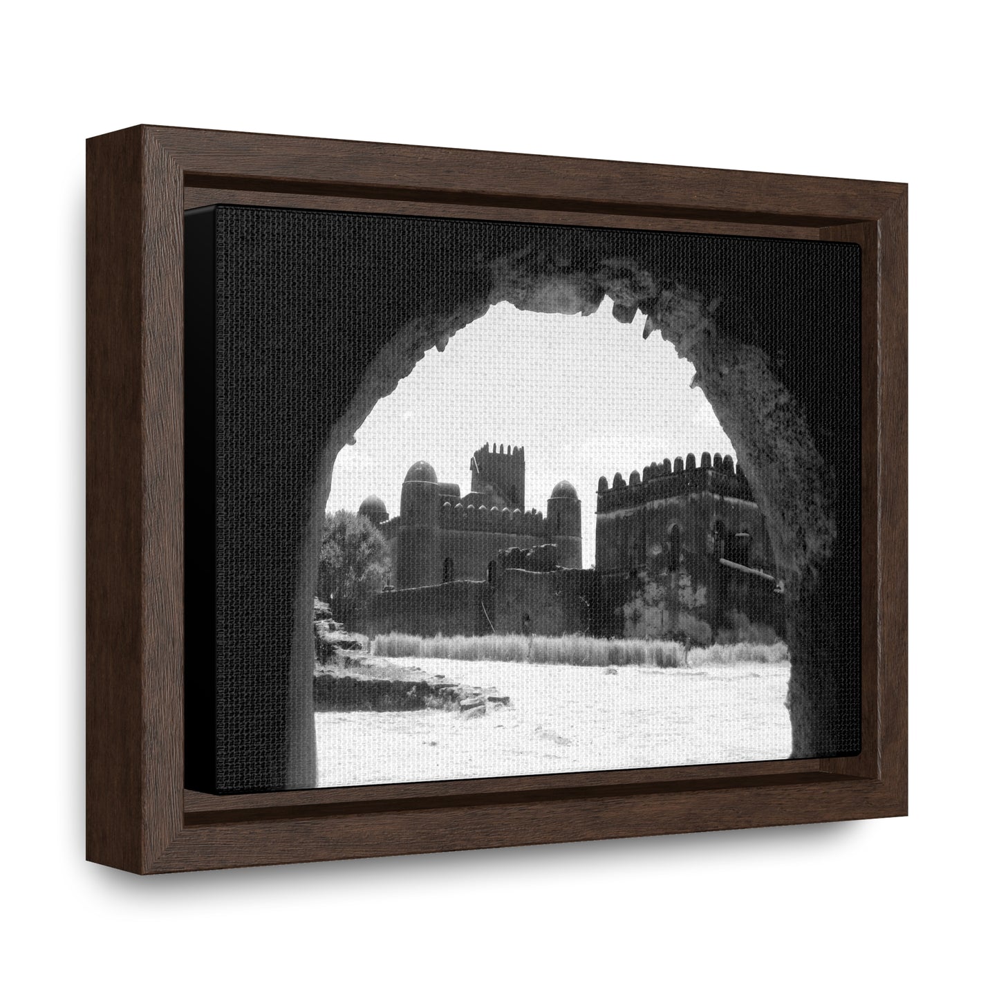 Through the Lion's Jaws - Framed Canvas Photography b&w