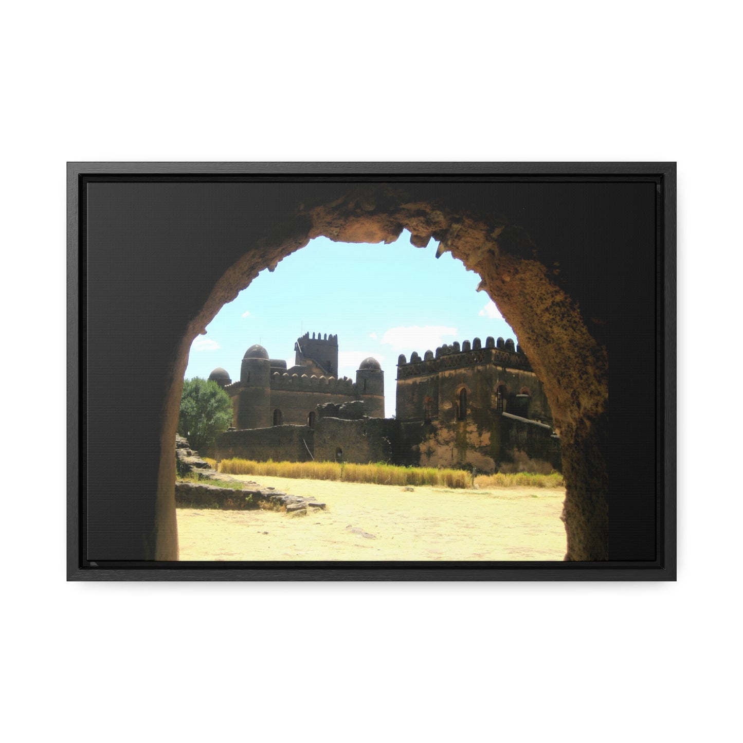 Through the Lion's Jaws - Framed Canvas Photography