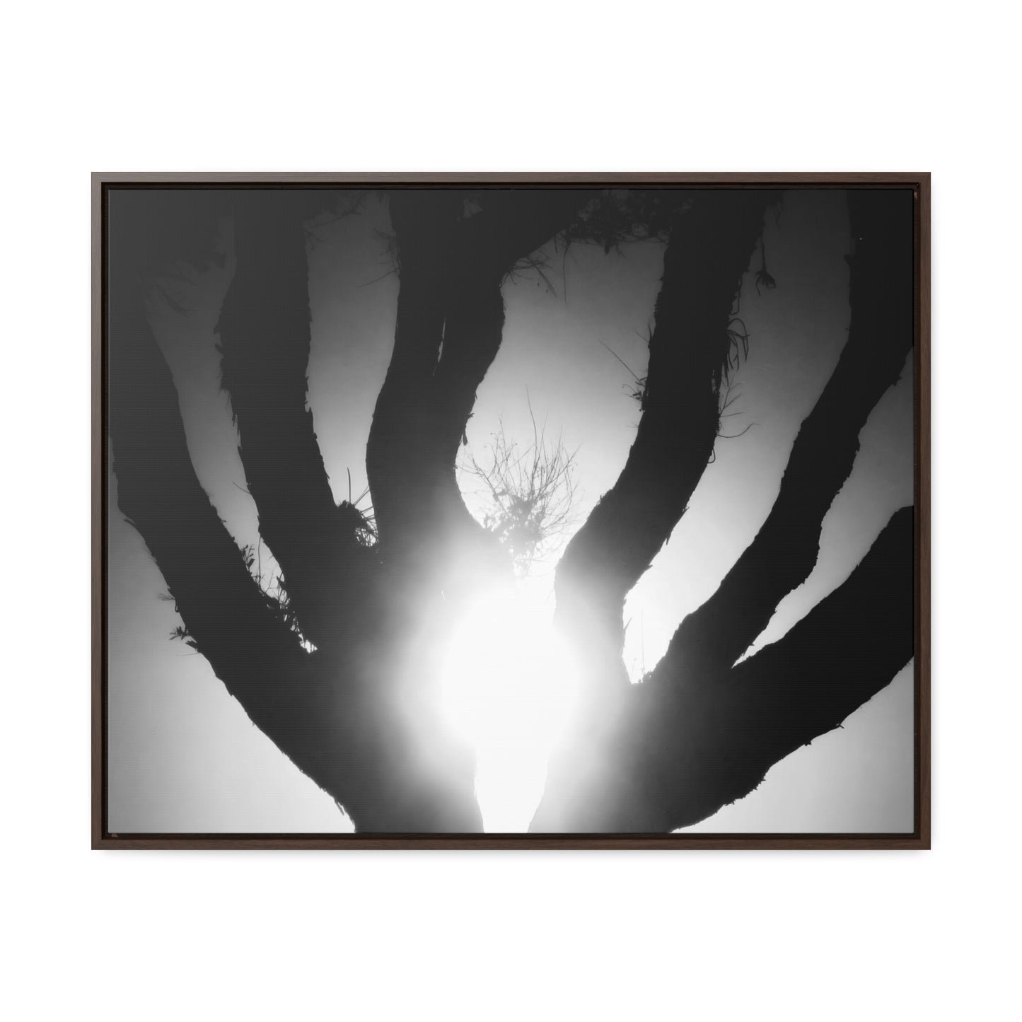 De-Light in the Heart of the Soul - Framed Canvas b&w Photography