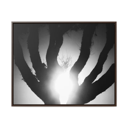 De-Light in the Heart of the Soul - Framed Canvas b&w Photography