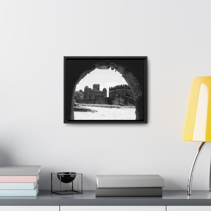 Through the Lion's Jaws - Framed Canvas Photography b&w