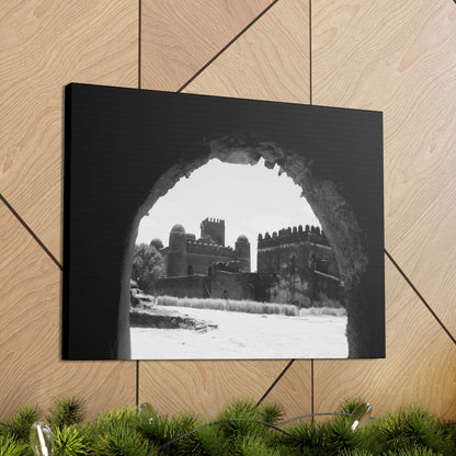 Through the Lion's Jaws - Canvas Photography b&w