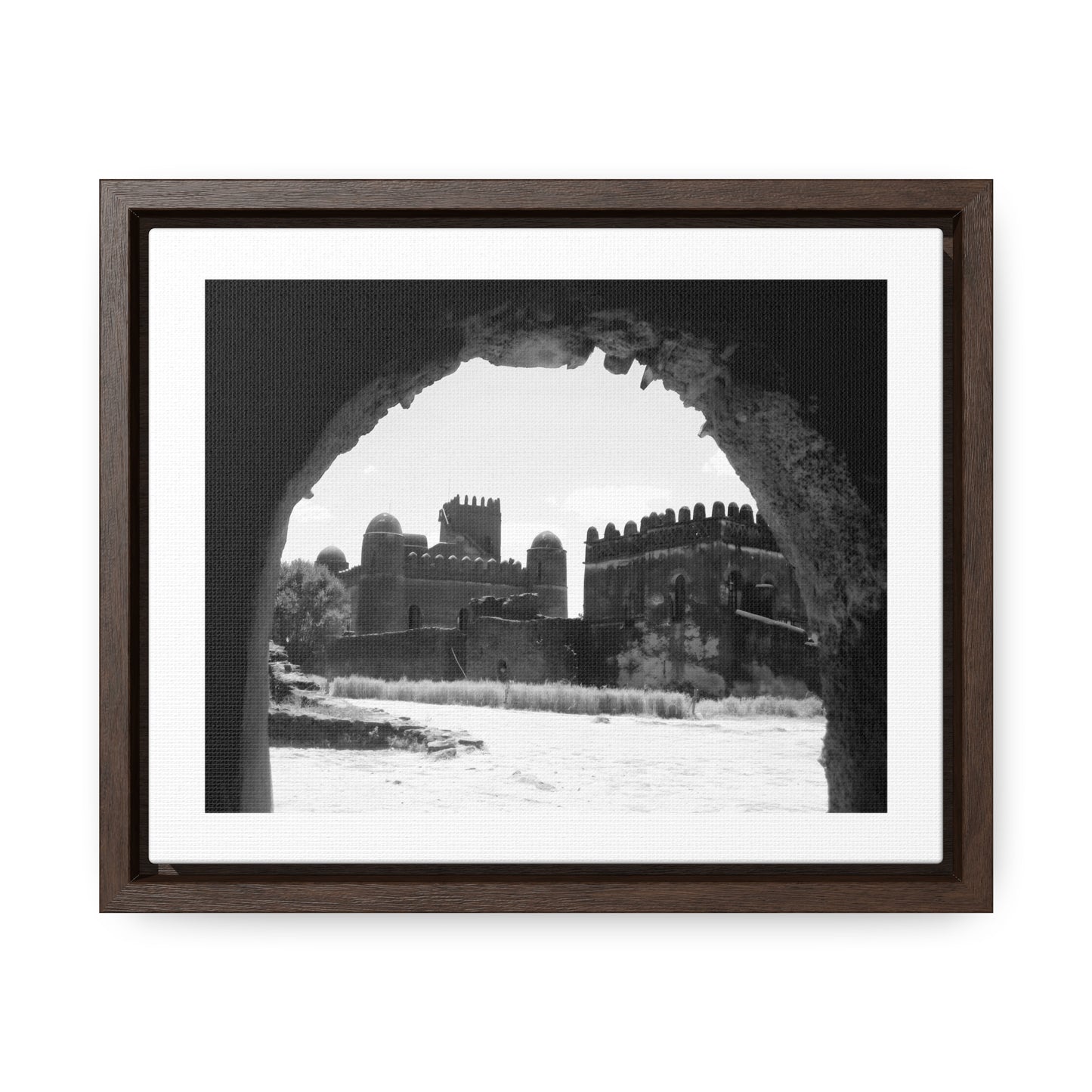 Through the Lion's Jaws - Framed Canvas Photography b&w