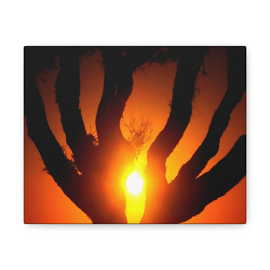 De-Light in the Heart of the Soul - Canvas Photography