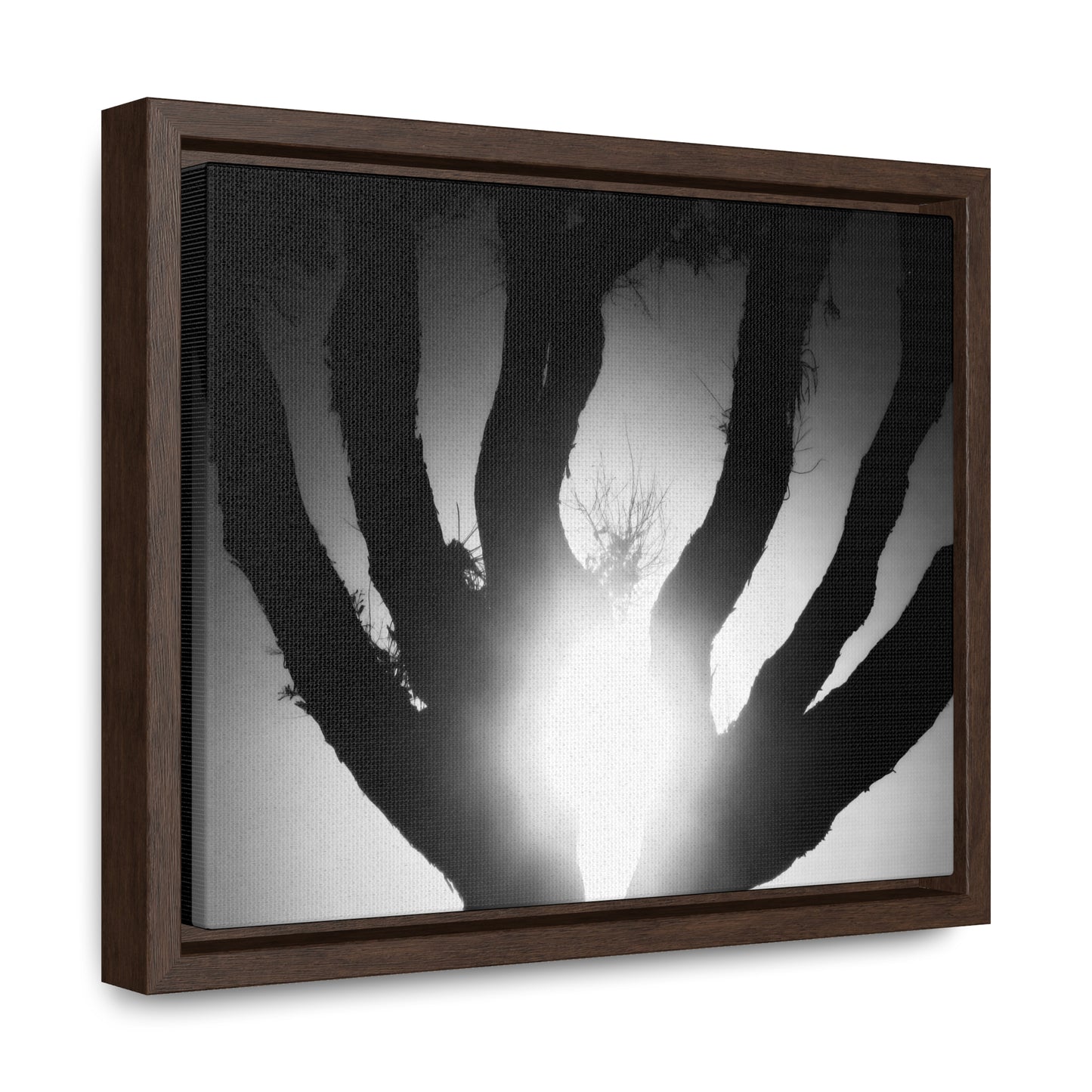 De-Light in the Heart of the Soul - Framed Canvas b&w Photography