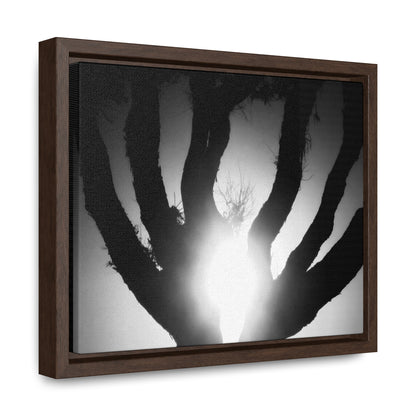 De-Light in the Heart of the Soul - Framed Canvas b&w Photography