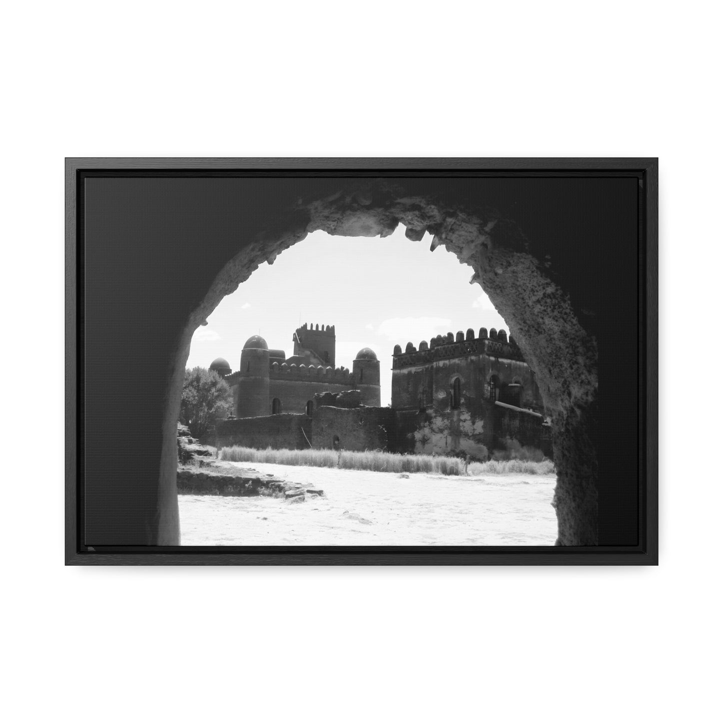 Through the Lion's Jaws - Framed Canvas Photography b&w