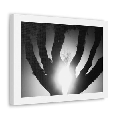 De-Light in the Heart of the Soul - Canvas Photography b/w