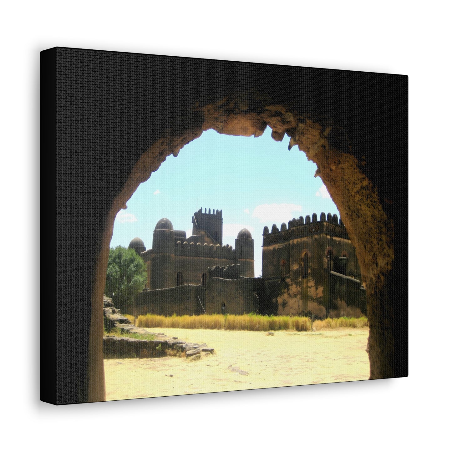 Through the Lion's Jaws - Canvas Photography