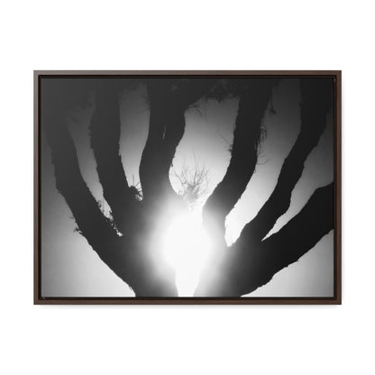 De-Light in the Heart of the Soul - Framed Canvas b&w Photography
