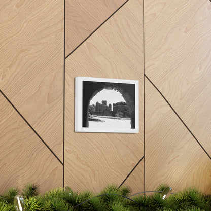 Through the Lion's Jaws - Canvas Photography b&w