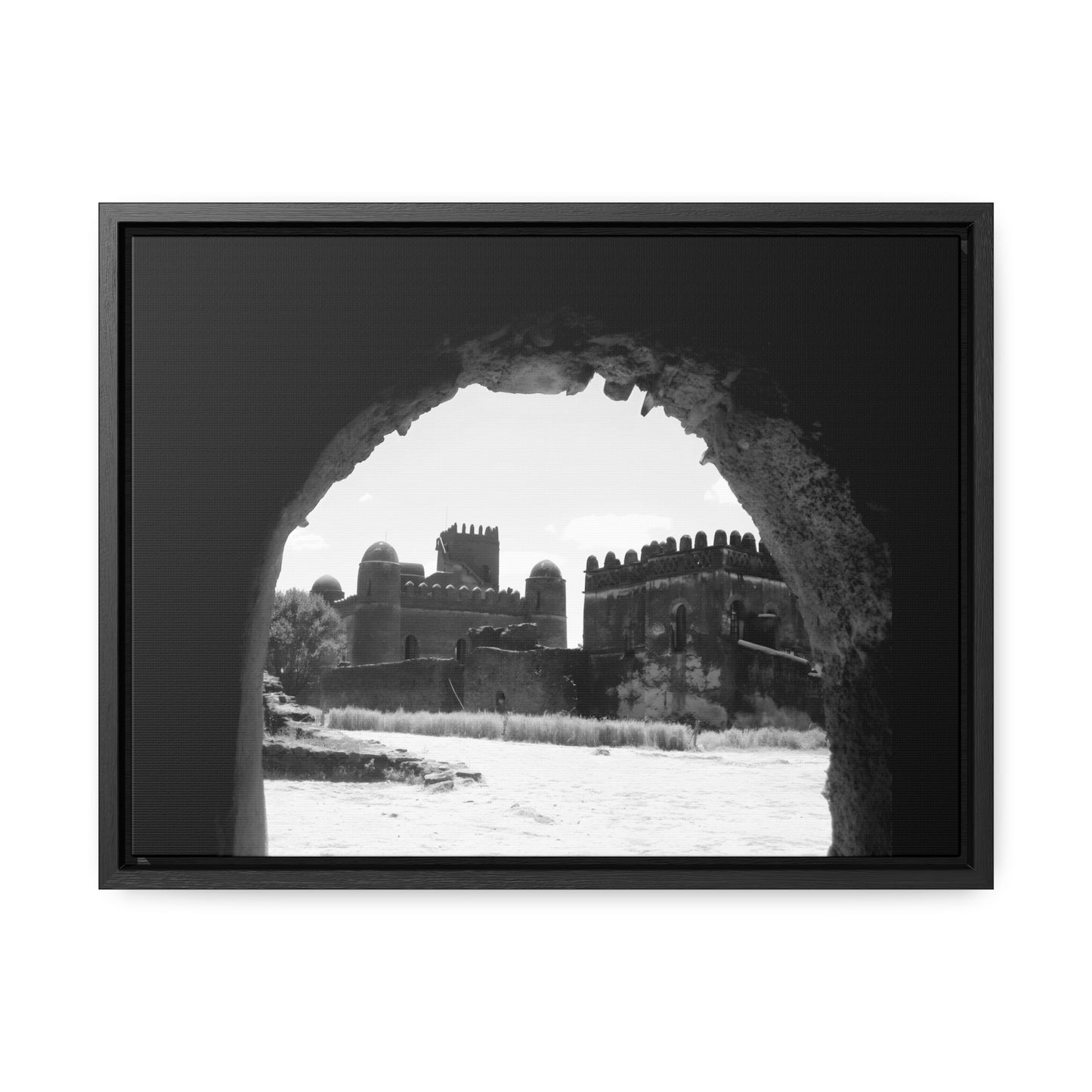 Through the Lion's Jaws - Framed Canvas Photography b&w