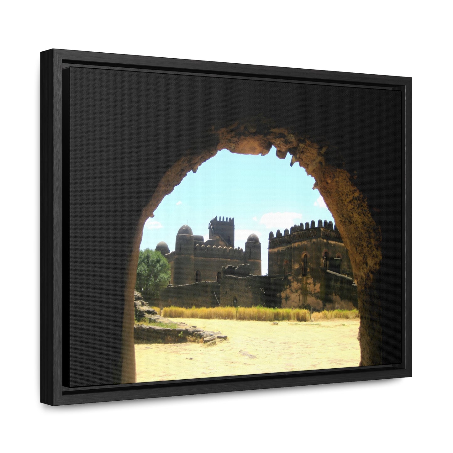 Through the Lion's Jaws - Framed Canvas Photography