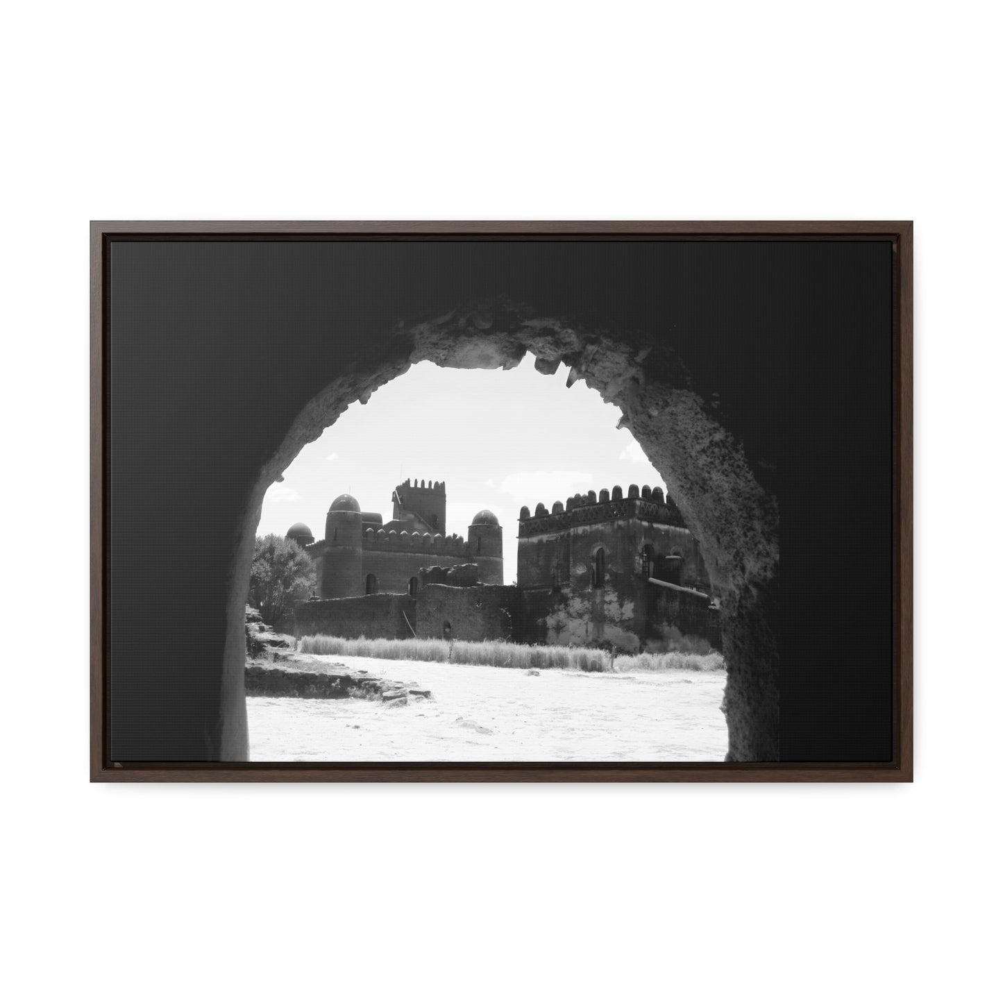 Through the Lion's Jaws - Framed Canvas Photography b&w