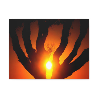 De-Light in the Heart of the Soul - Canvas Photography