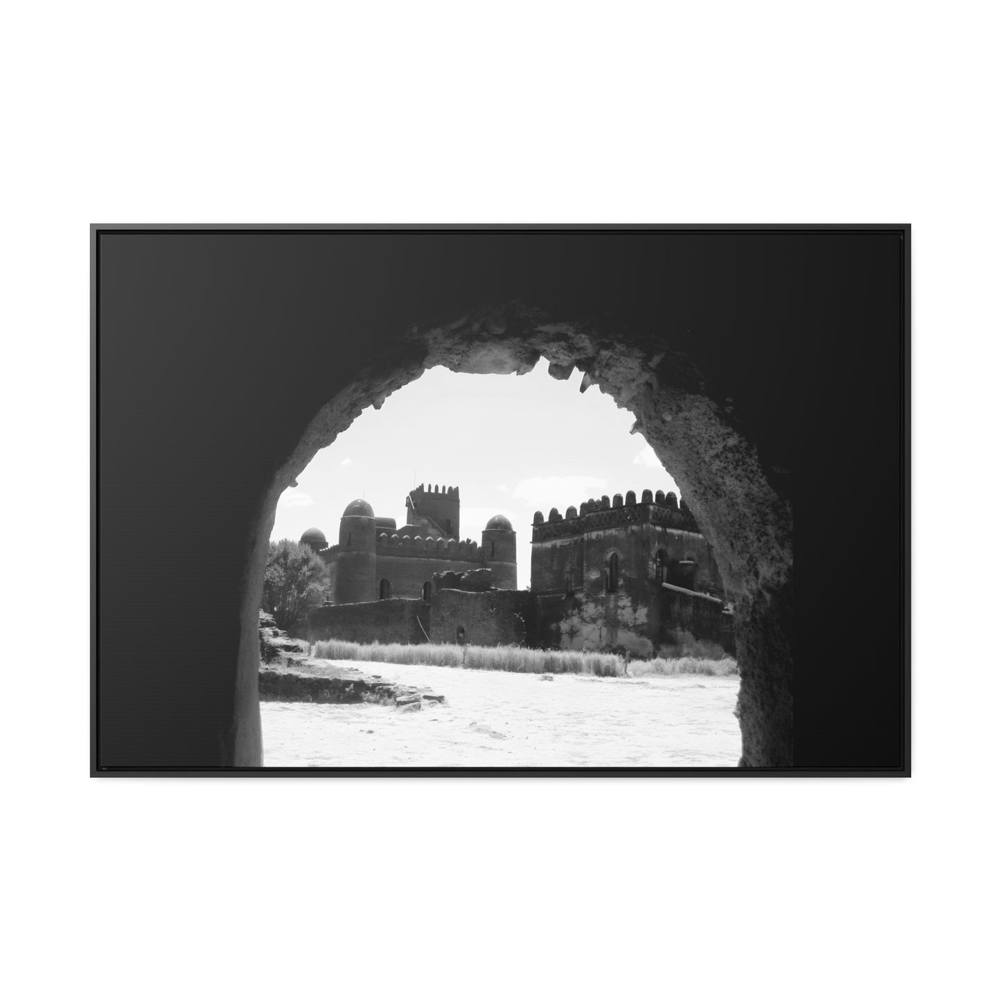 Through the Lion's Jaws - Framed Canvas Photography b&w